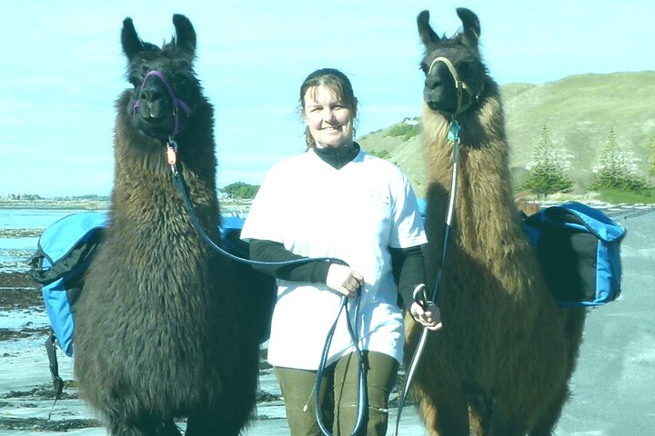 Kaikoura Llama Trekking - Half-day trek